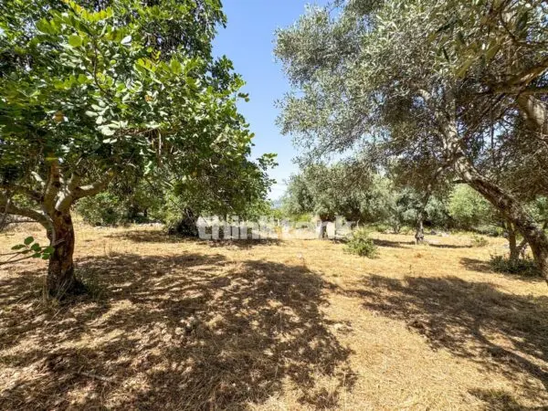 Terreno Agricolo strada Statale 124, Priolo Gargallo