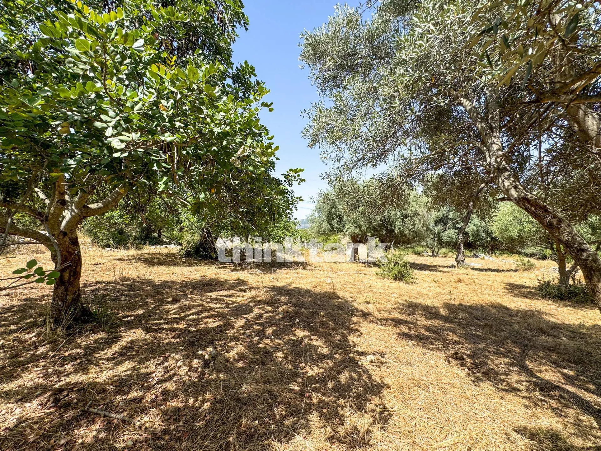 Immagine per Terreno Agricolo in vendita a Priolo Gargallo Strada Statale 124 