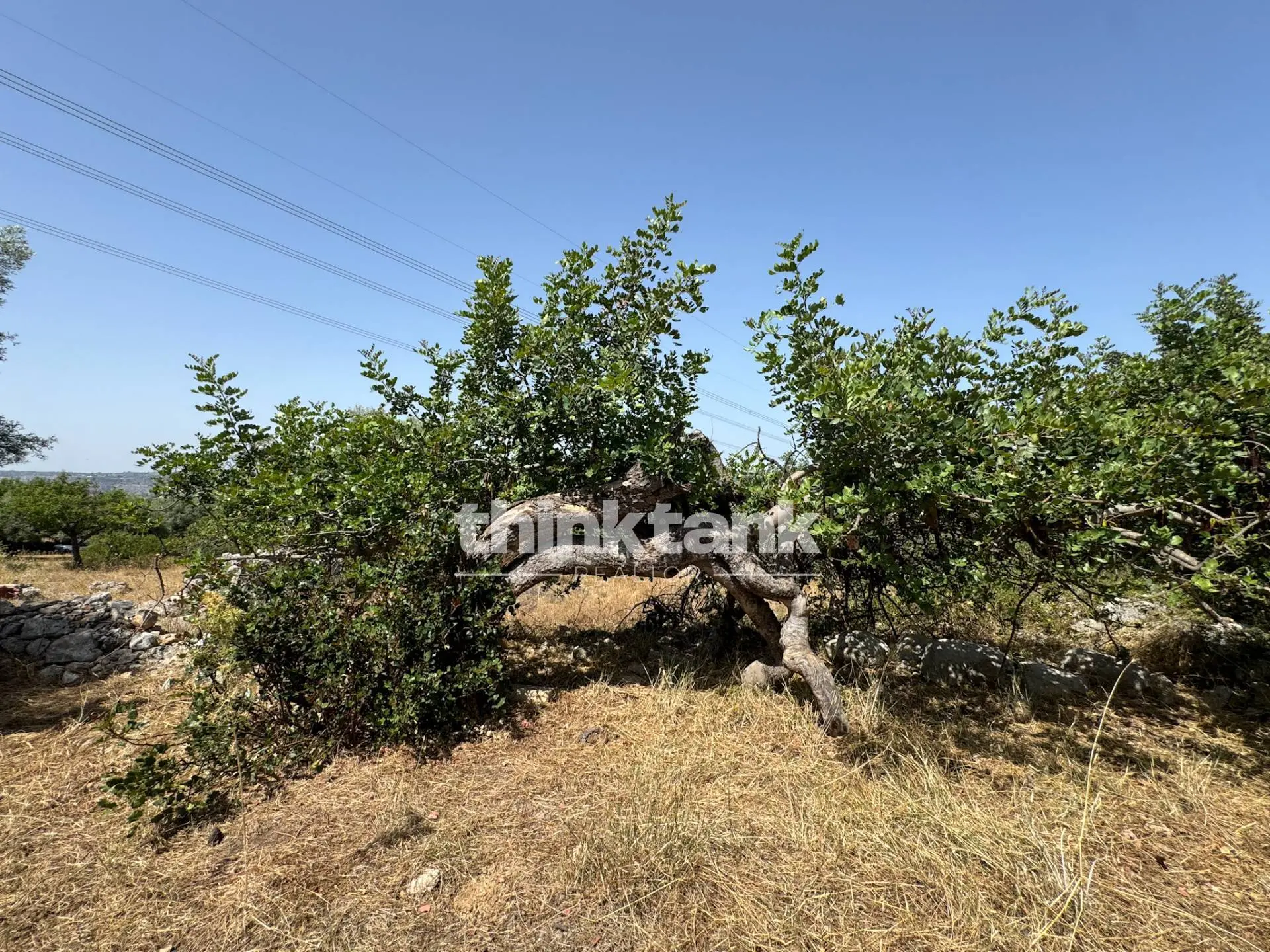 Immagine per Terreno Agricolo in vendita a Priolo Gargallo Strada Statale 124 