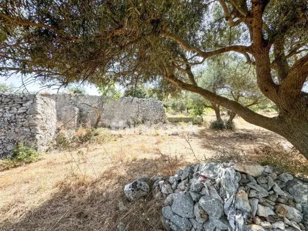 Terreno Agricolo strada Statale 124, Priolo Gargallo