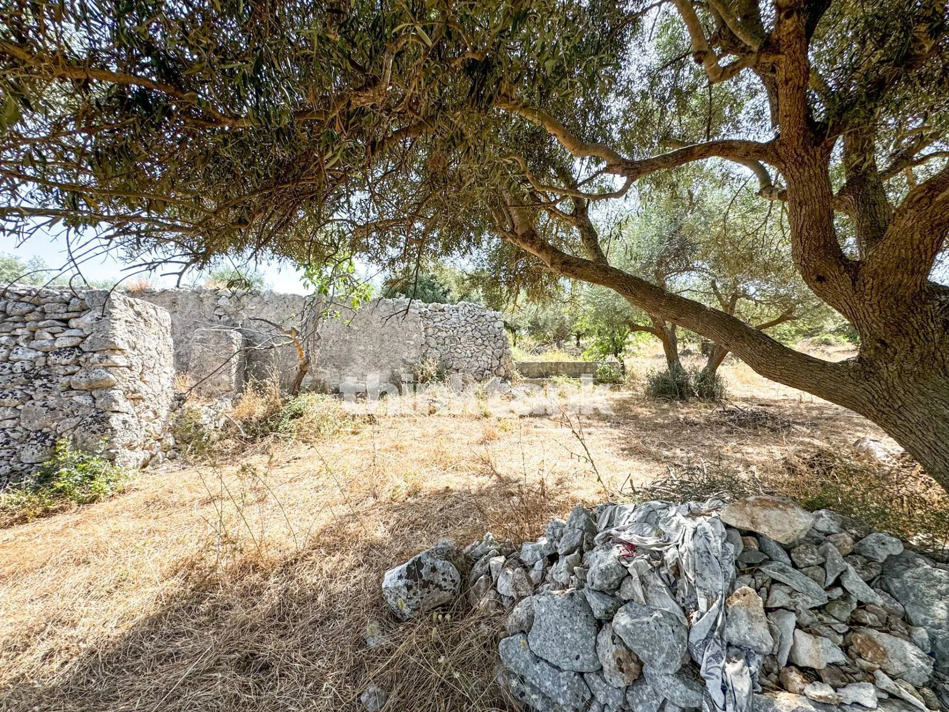 Immagine per Terreno Agricolo in vendita a Priolo Gargallo Strada Statale 124 