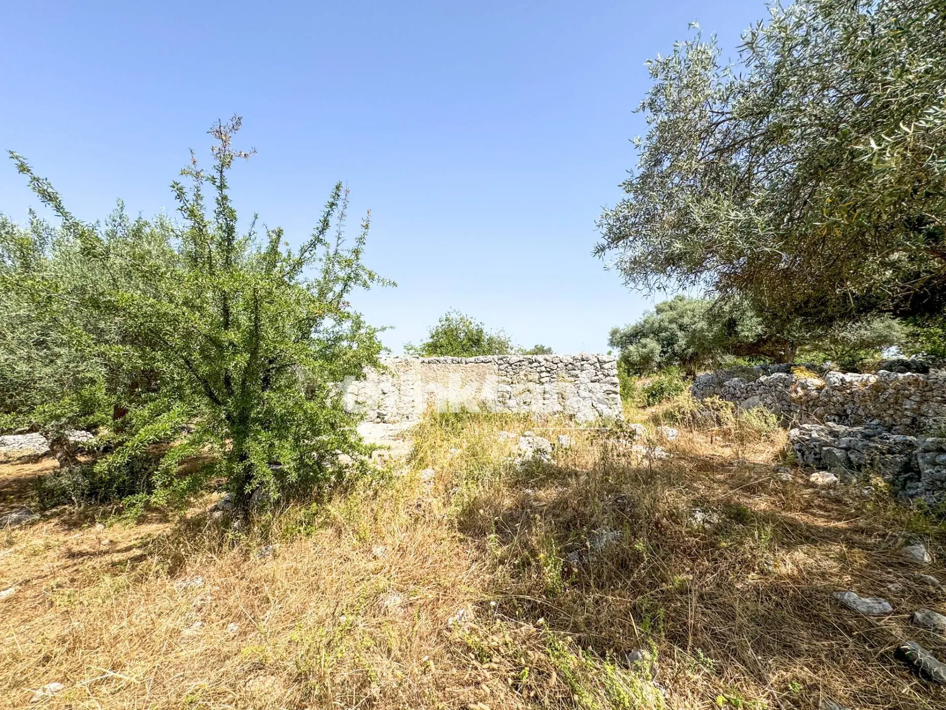 Immagine per Terreno Agricolo in vendita a Priolo Gargallo Strada Statale 124 