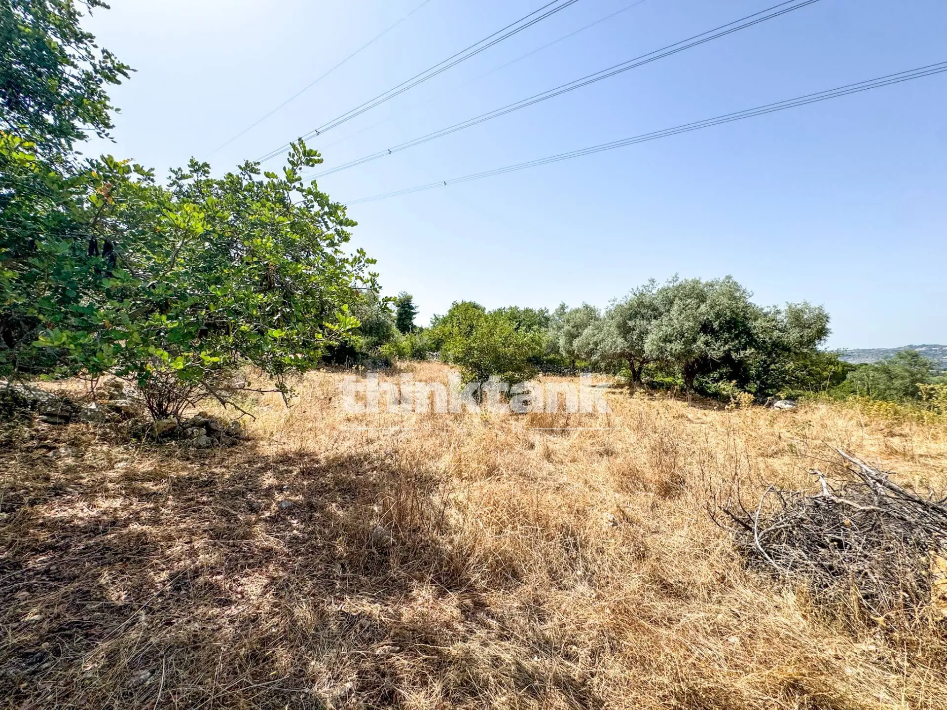 Immagine per Terreno Agricolo in vendita a Priolo Gargallo Strada Statale 124 