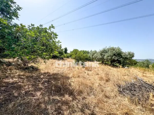 Terreno Agricolo strada Statale 124, Priolo Gargallo
