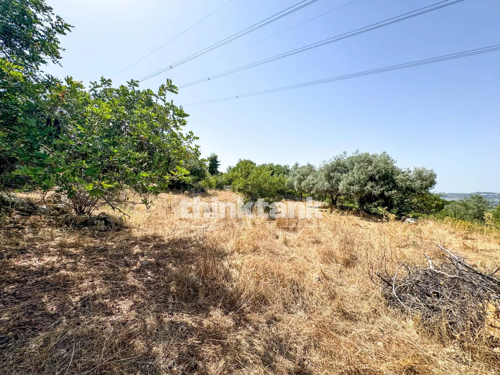 Immagine per Terreno Agricolo in vendita a Priolo Gargallo Strada Statale 124 