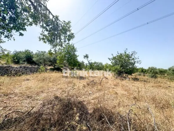 Terreno Agricolo strada Statale 124, Priolo Gargallo