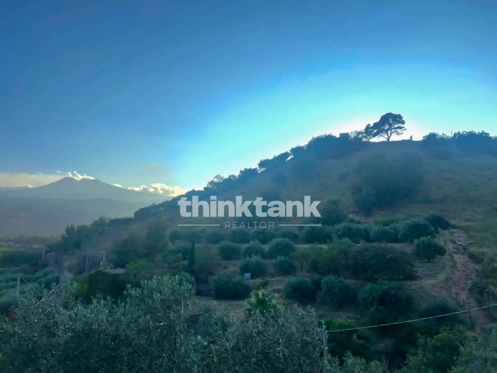 Immagine per Rustico/Casale in vendita a Piedimonte Etneo  