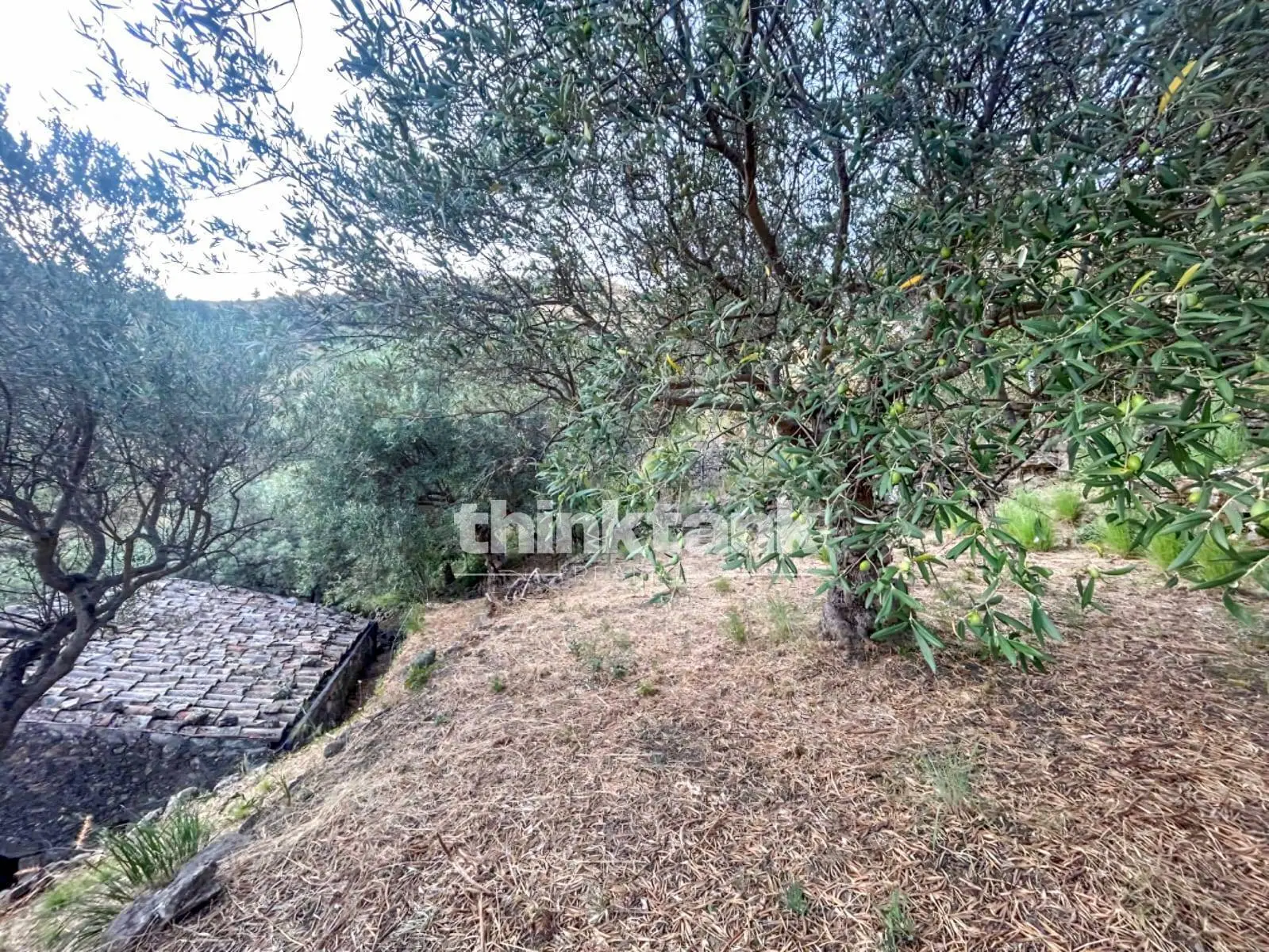 Immagine per Rustico/Casale in vendita a Piedimonte Etneo  