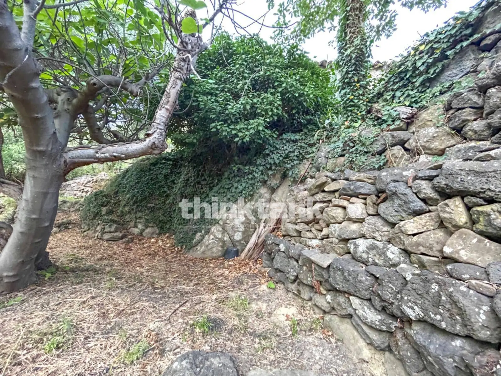 Immagine per Rustico/Casale in vendita a Piedimonte Etneo  