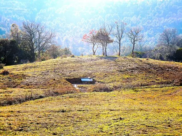 Uliveto via Località Di Popogna La Concezione 35, Rosignano Marittimo