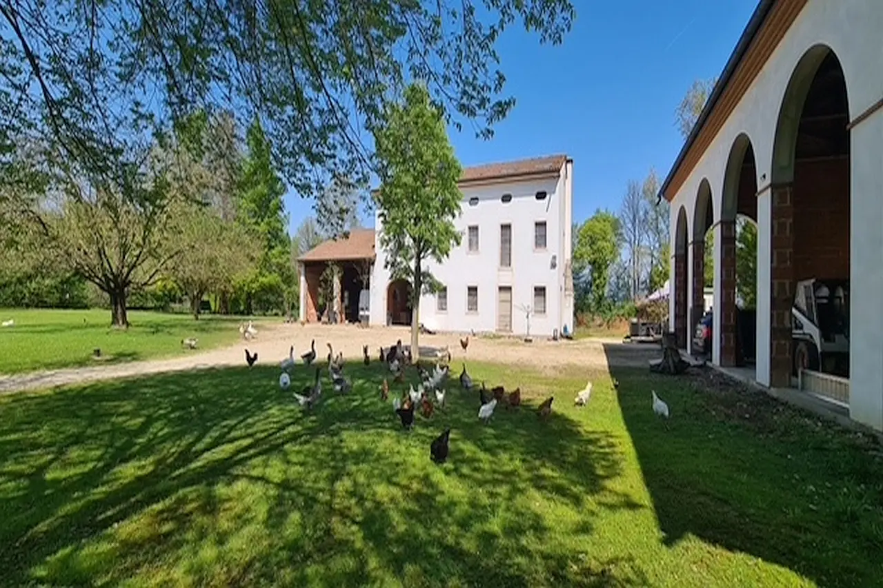 Immagine per Casale in Vendita a Riese Pio X Via Cendrole