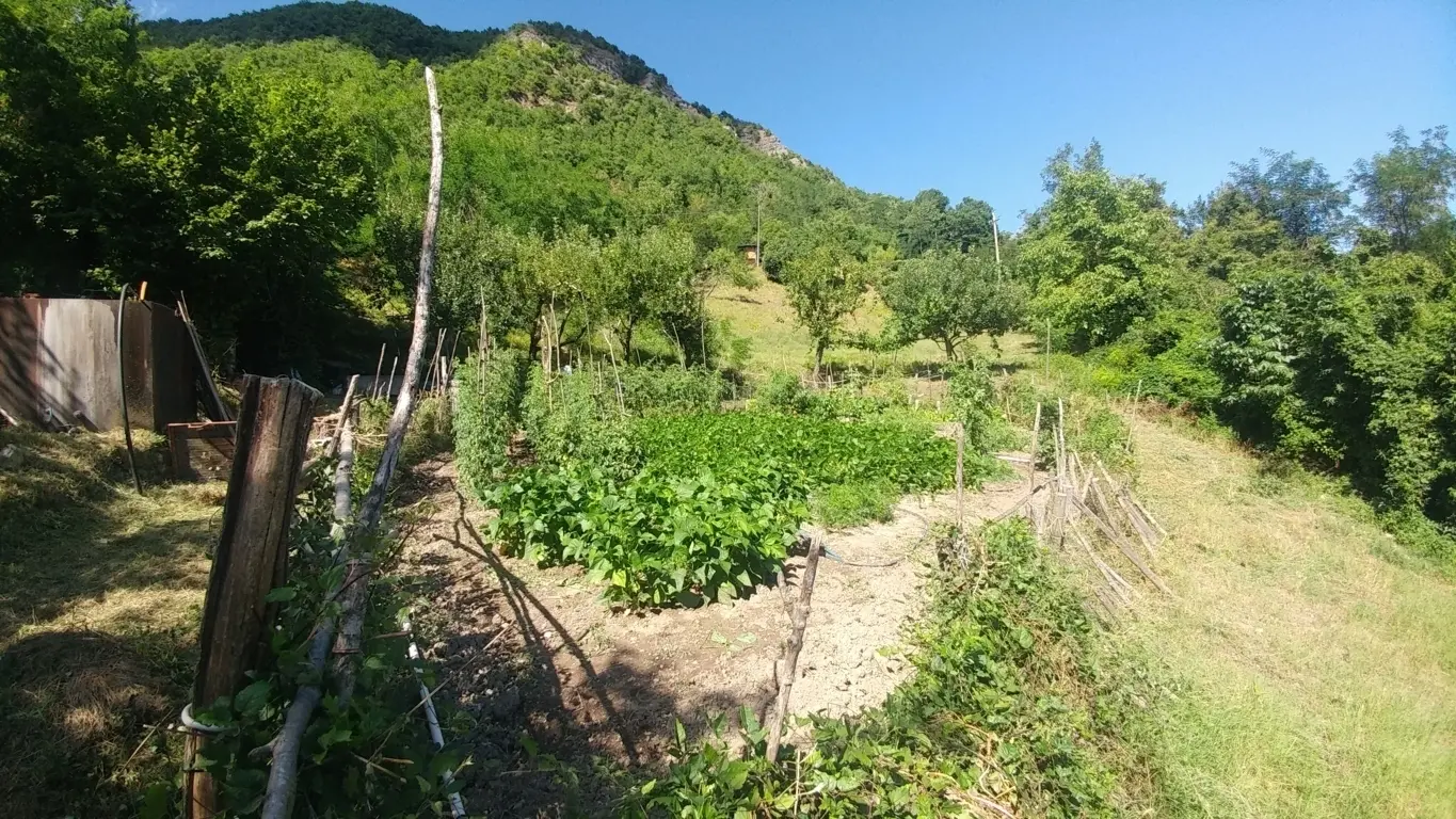 Immagine per Rustico in vendita a Zocca via Mauro Tesi 112