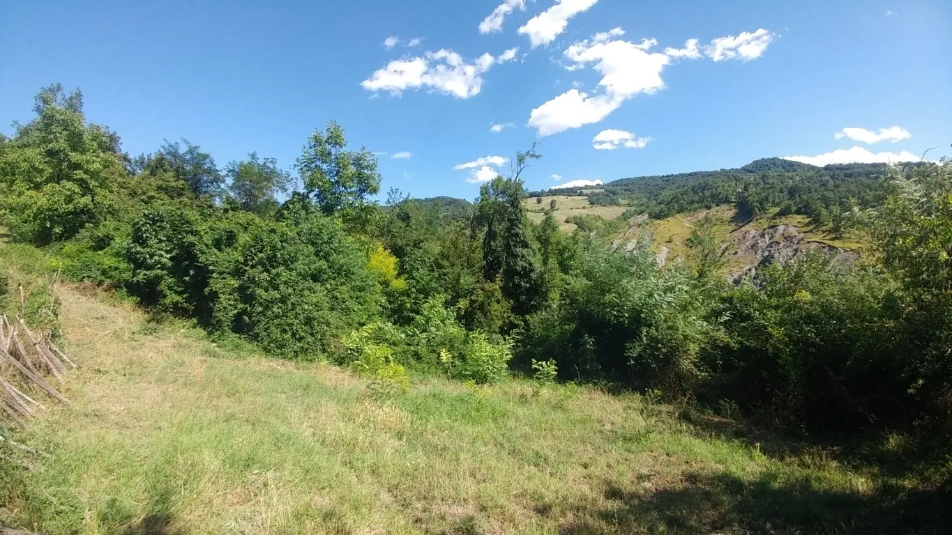 Immagine per Rustico in vendita a Zocca via Mauro Tesi 112