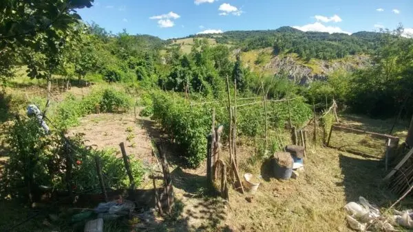 Rustico via Mauro Tesi 112, Zocca