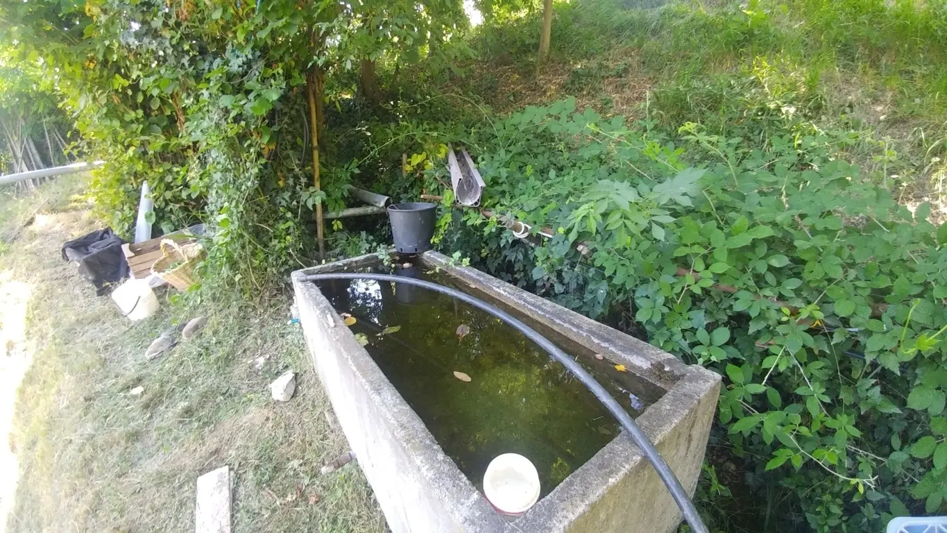 Immagine per Rustico in vendita a Zocca via Mauro Tesi 112