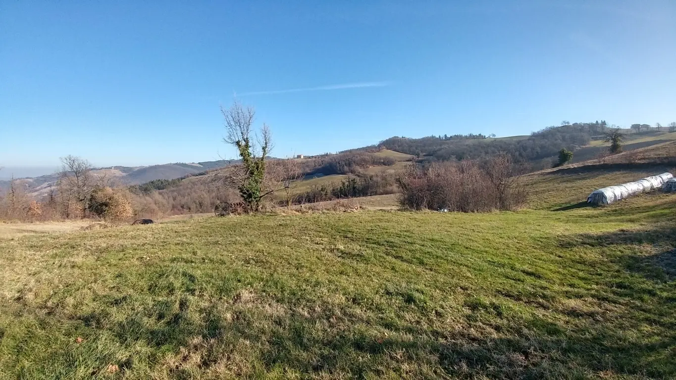Immagine per Rustico in vendita a Valsamoggia via Della Pace 4