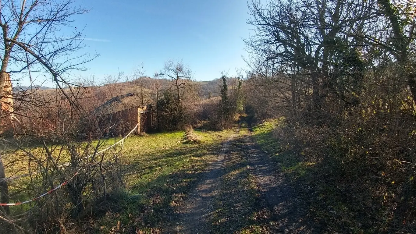 Immagine per Rustico in vendita a Valsamoggia via Della Pace 4