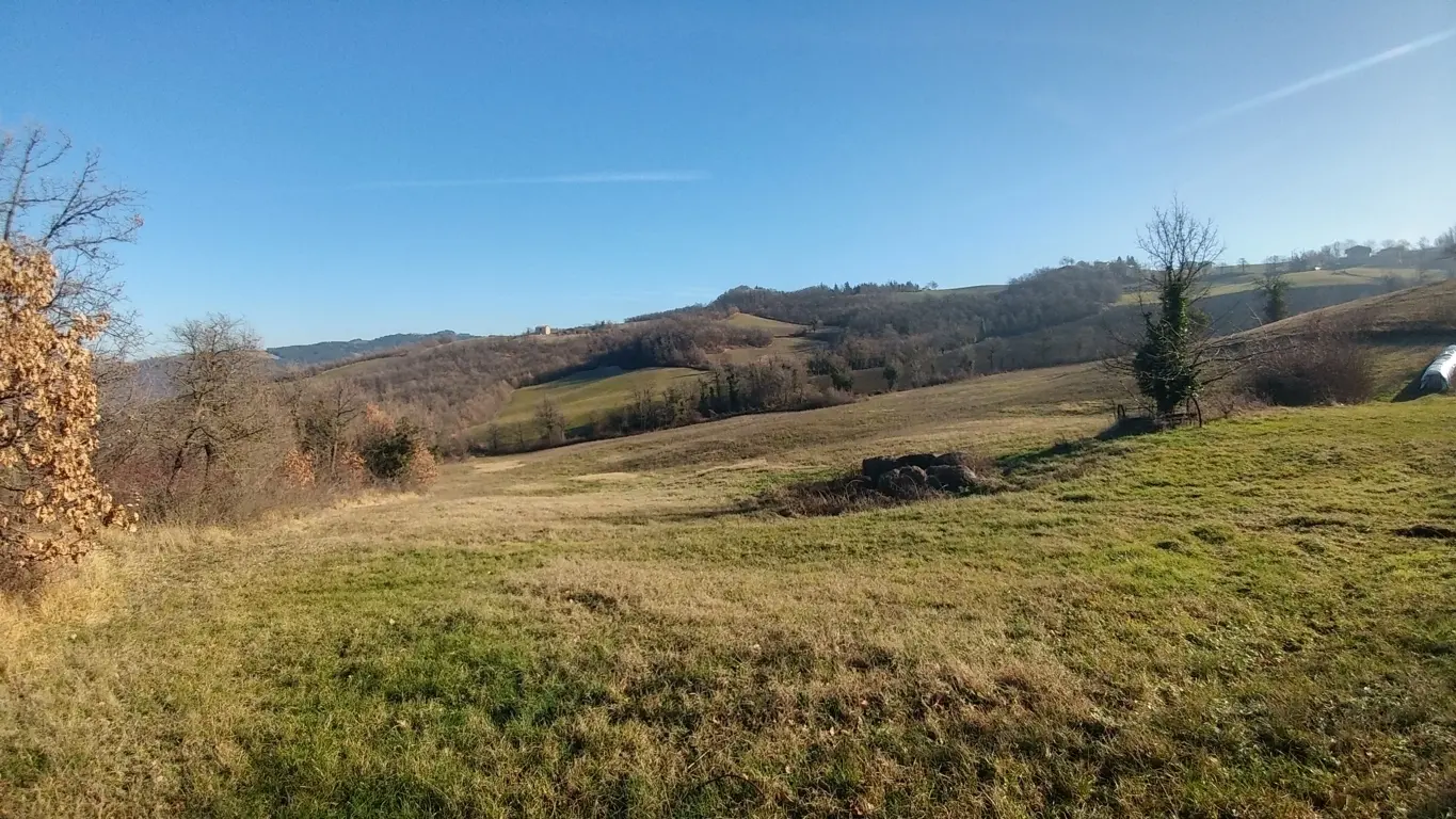 Immagine per Rustico in vendita a Valsamoggia via Della Pace 4