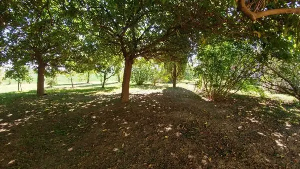 Villa via Stradello Giovanardi 95, Cittanova, Modena