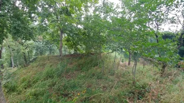 Porzione Di Casa via Castello 35, Zocca
