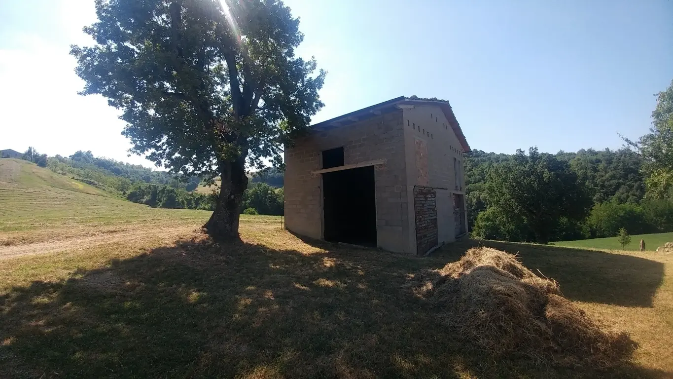 Immagine per Rustico in vendita a Zocca via Calizzano 803
