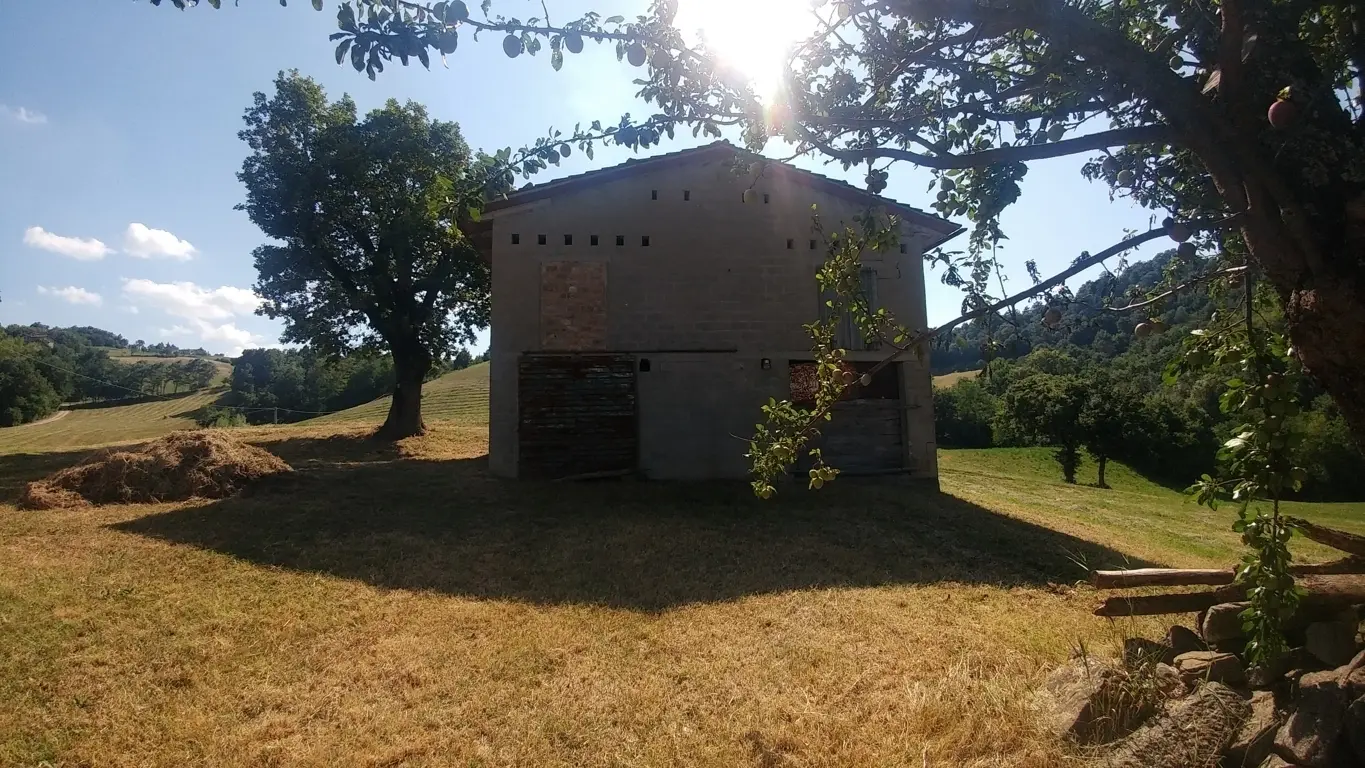 Immagine per Rustico in vendita a Zocca via Calizzano 803