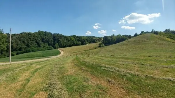 Rustico via Calizzano 803, Zocca