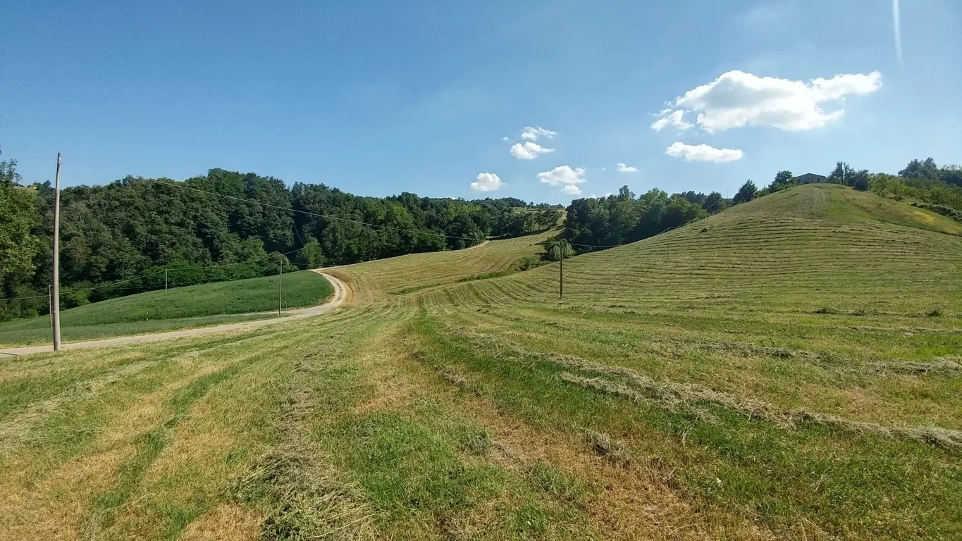 Immagine per Rustico in vendita a Zocca via Calizzano 803