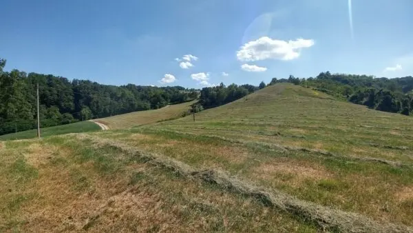 Rustico via Calizzano 803, Zocca