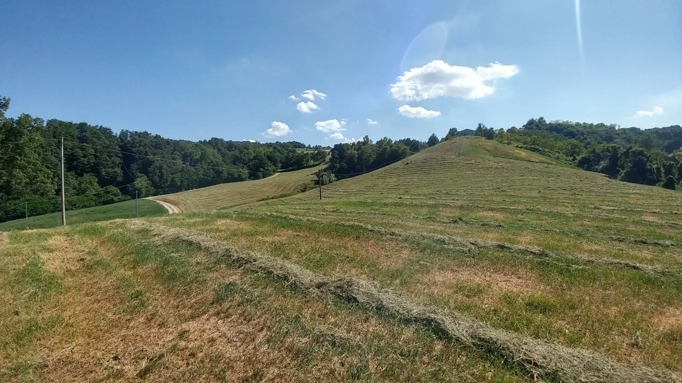 Immagine per Rustico in vendita a Zocca via Calizzano 803