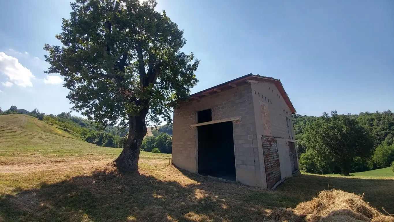 Immagine per Rustico in vendita a Zocca via Calizzano 803