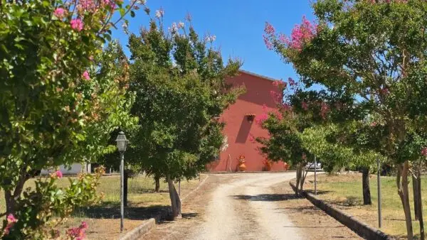 Casale strada Bonifica 150, Montecchio