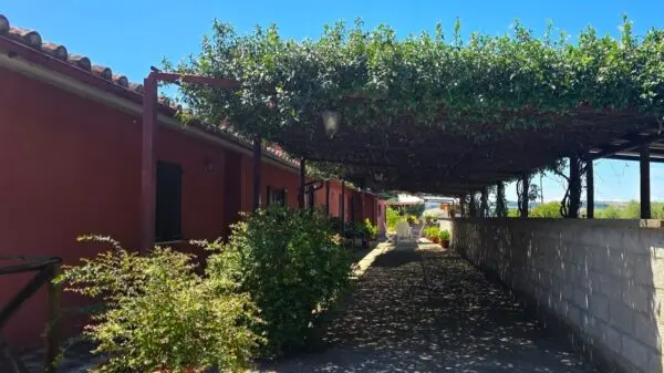 Casale strada Bonifica 150, Montecchio
