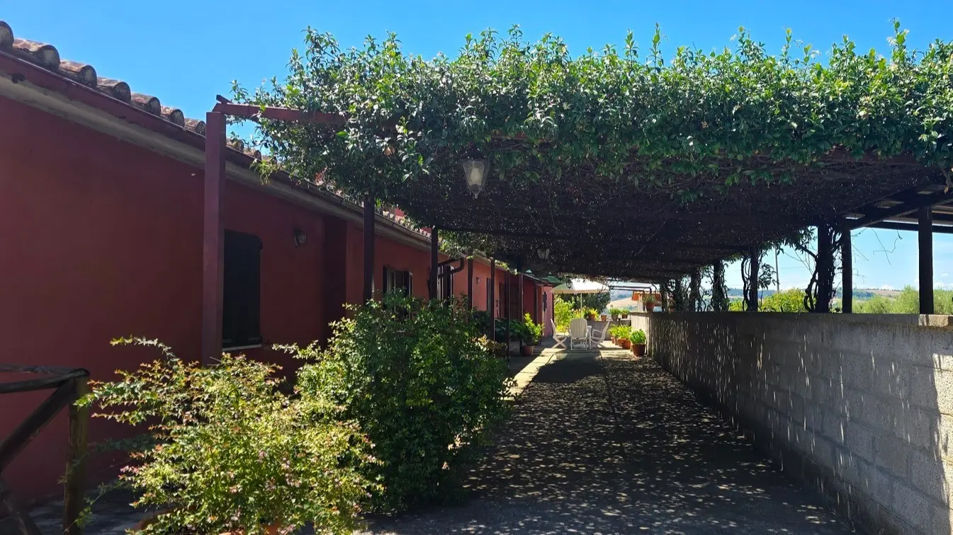 Immagine per Casale in vendita a Montecchio strada Bonifica 150