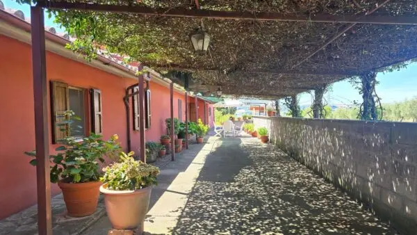 Casale strada Bonifica 150, Montecchio