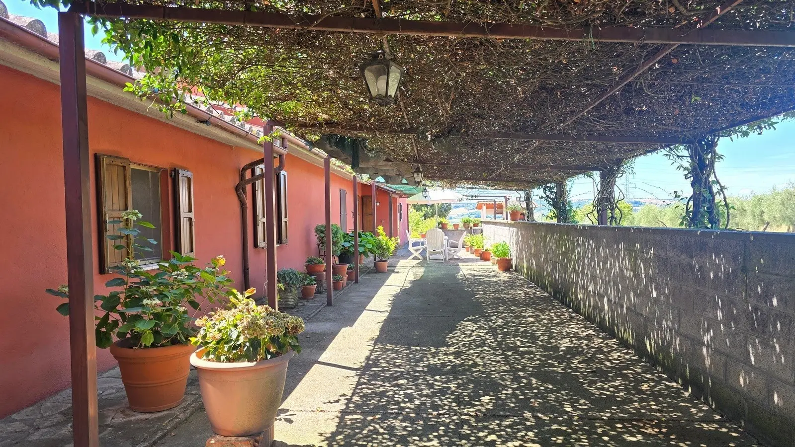 Immagine per Casale in vendita a Montecchio strada Bonifica 150