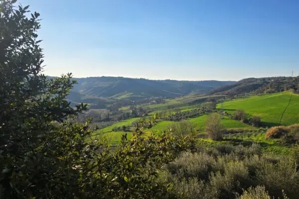 Terratetto viale Trento E Trieste 3, Castiglione In Teverina