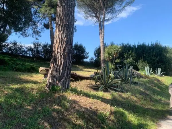 Rustico via Casino Pulini 17, Montemarciano