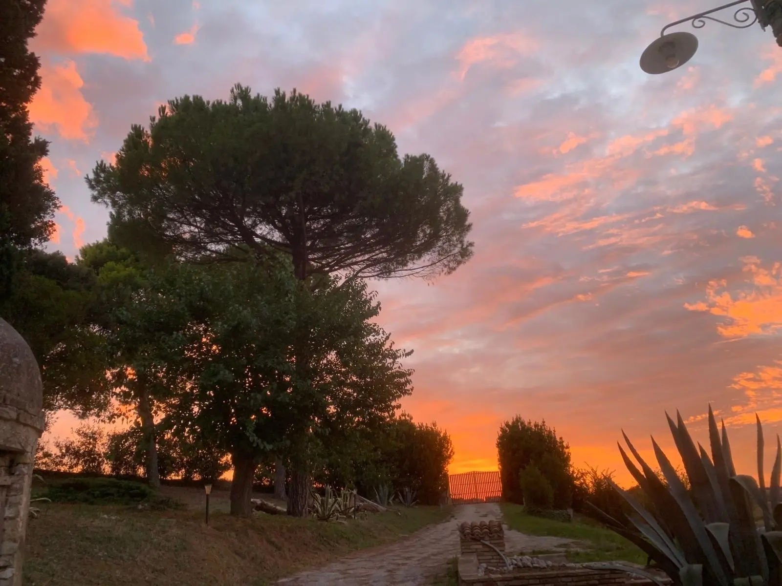 Immagine per Rustico in affitto a Montemarciano via Casino Pulini 17