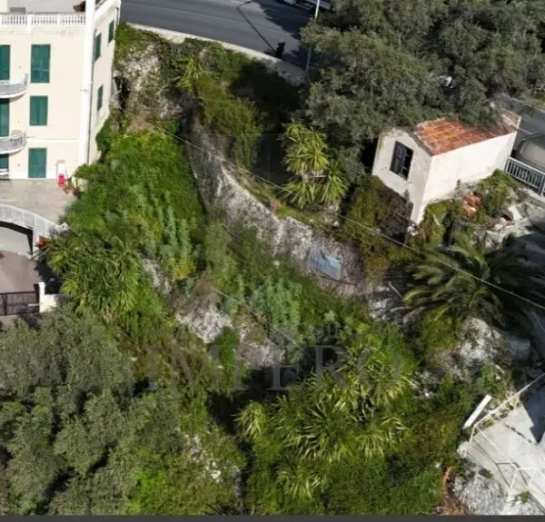 Immagine per Area verde in vendita a Ventimiglia corso Mentone 37
