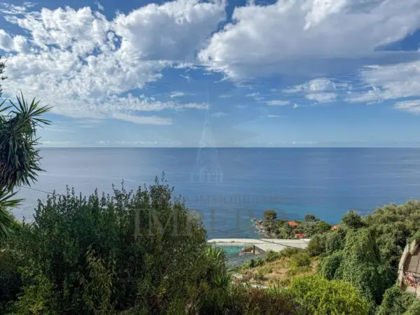 Immagine per Area verde in vendita a Ventimiglia corso Mentone 37