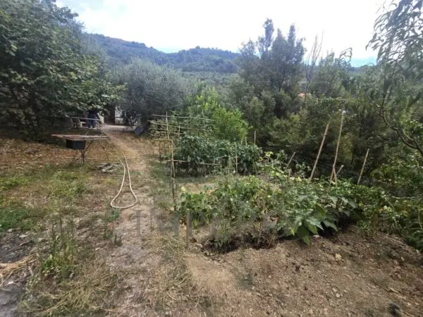 Rustico via San Gregorio, Dolceacqua