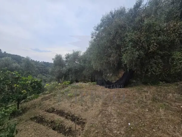 Rustico via San Gregorio, Dolceacqua