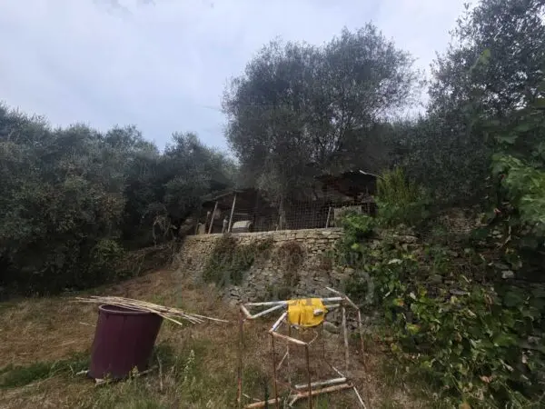 Rustico via San Gregorio, Dolceacqua