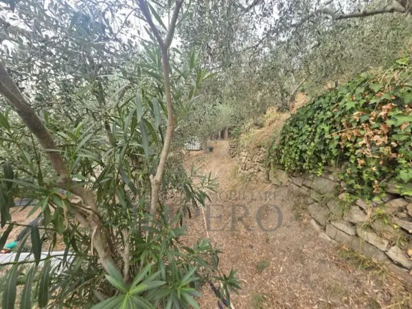 Rustico via San Gregorio, Dolceacqua