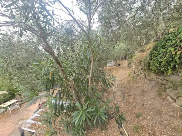 Rustico via San Gregorio, Dolceacqua