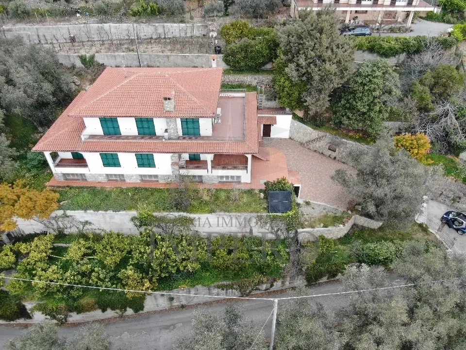 Immagine per Villa in vendita a Ventimiglia via Nappio