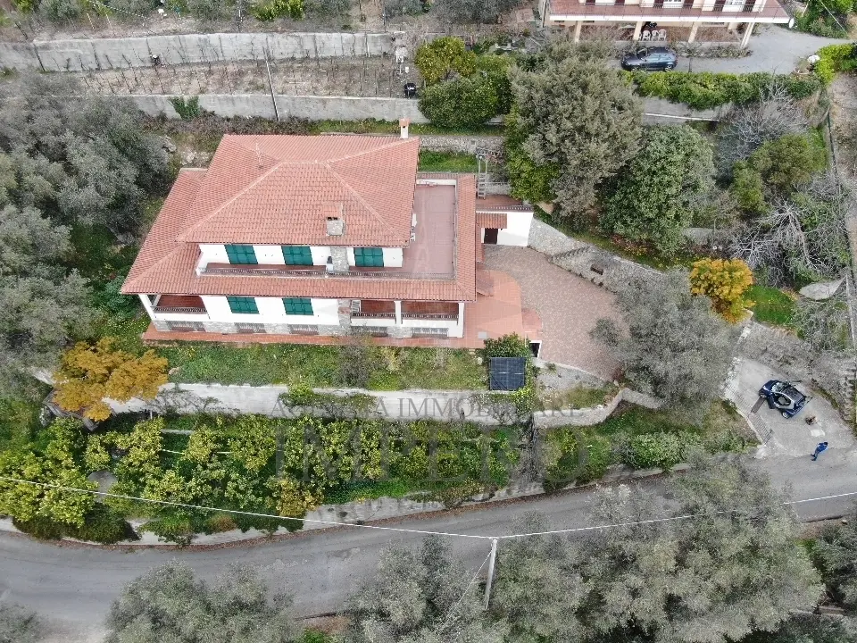 Immagine per Villa in vendita a Ventimiglia via Nappio