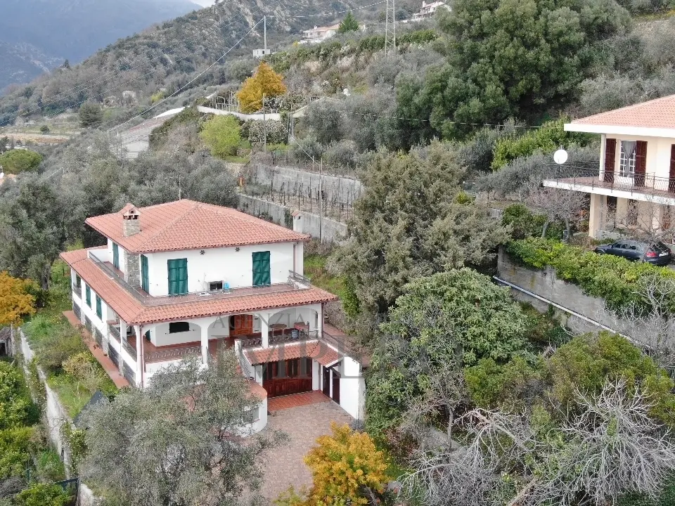 Immagine per Villa in vendita a Ventimiglia via Nappio