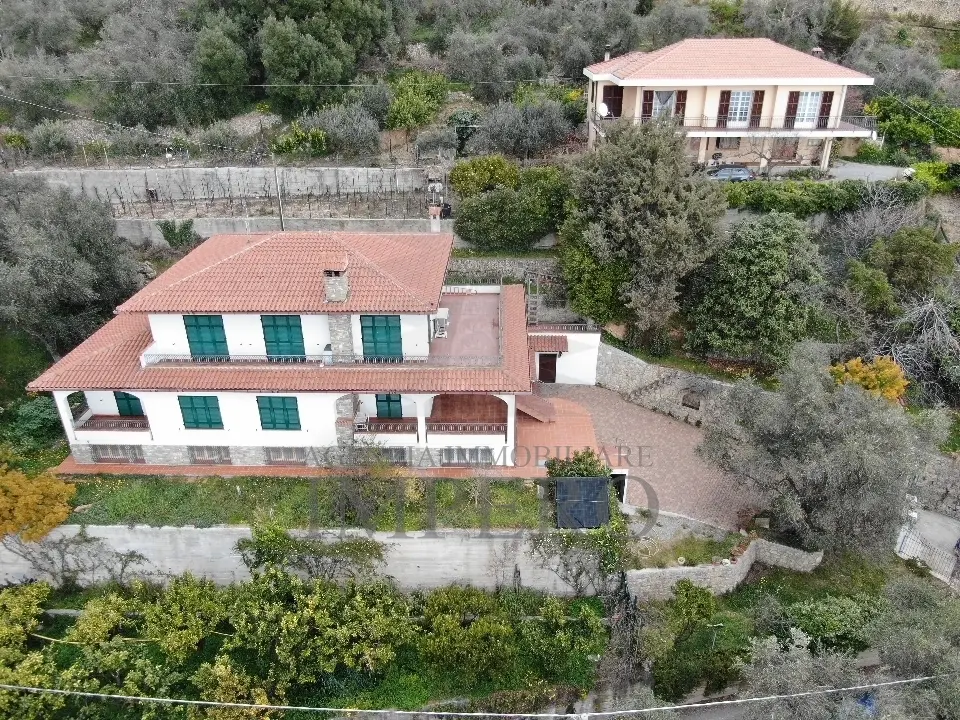 Immagine per Villa in vendita a Ventimiglia via Nappio